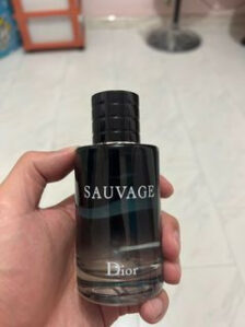 Dior Sauvage Vs Elixir Which One Stands Out In