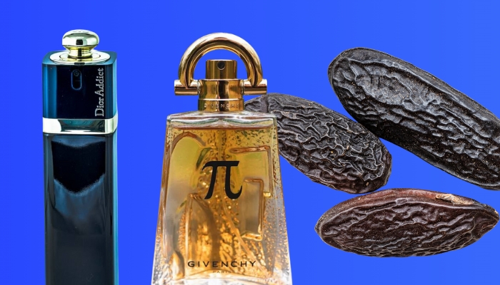 What Does Tonka Bean Smell Like?