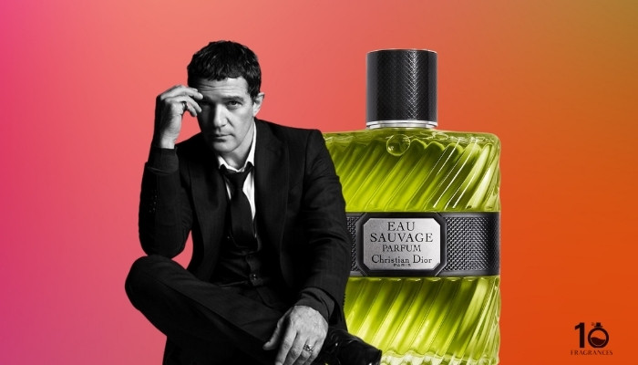 What Cologne Does Antonio Banderas Wear? [Revealed]