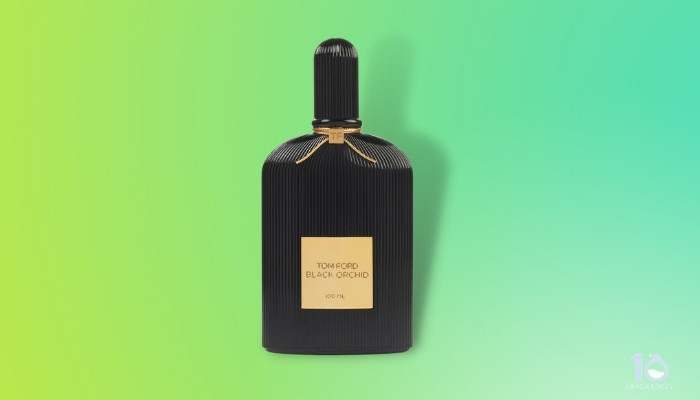 5 Best Tom Ford Black Orchid Clones [Tested by Experts 2021]