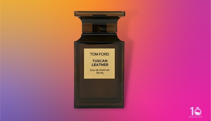 5 Best Tom Ford Tuscan Leather Clones [Tested in 2021]