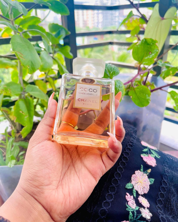 Chanel No 5 Vs Coco Mademoiselle Ultimate Comparison 2024 