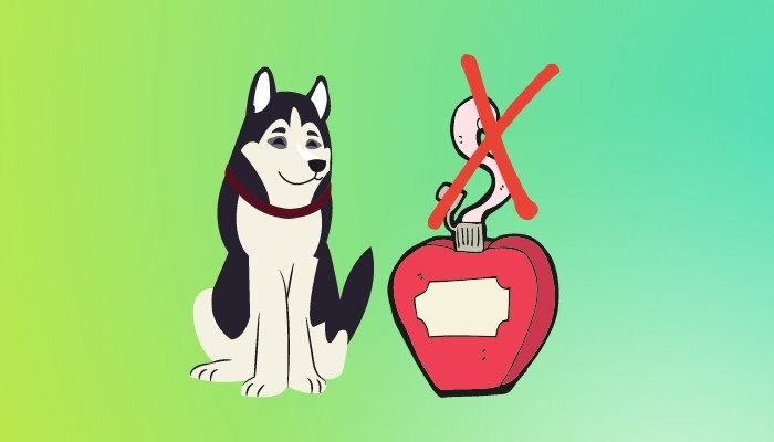 Is Perfume Bad For Dogs Be Safe Not Sorry 