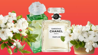 9 best gardenia perfumes
