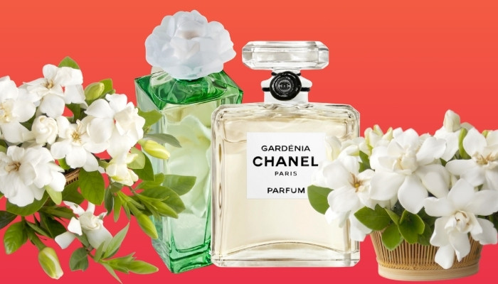 Buy Chanel Gardénia EDP 15ml Vial Perfume Online at Best Price  Belvish