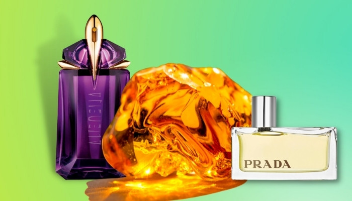 Best Amber Perfumes