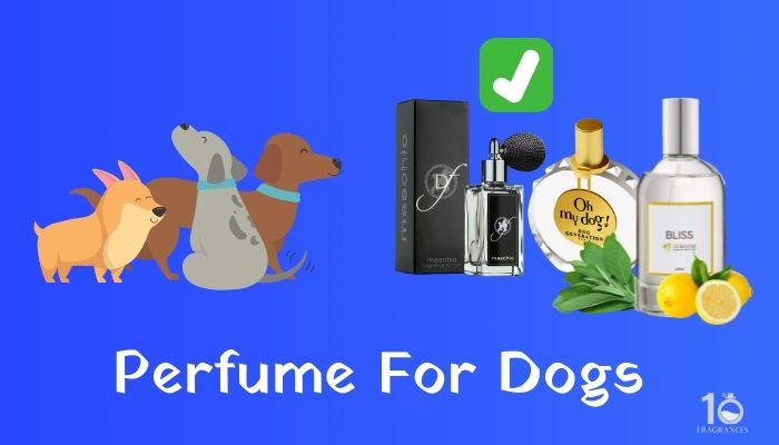 are dog perfumes safe