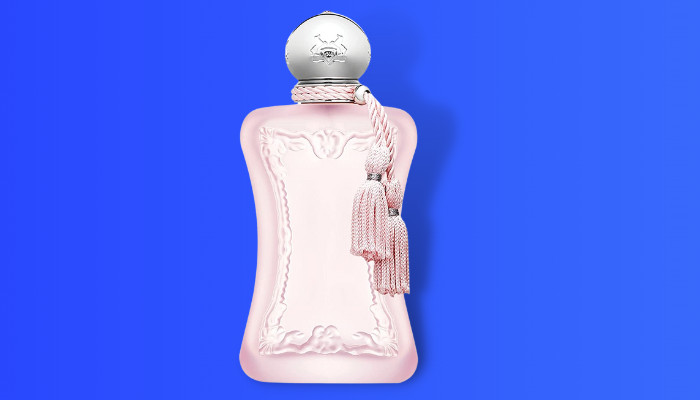 Perfumes Similar To Delina