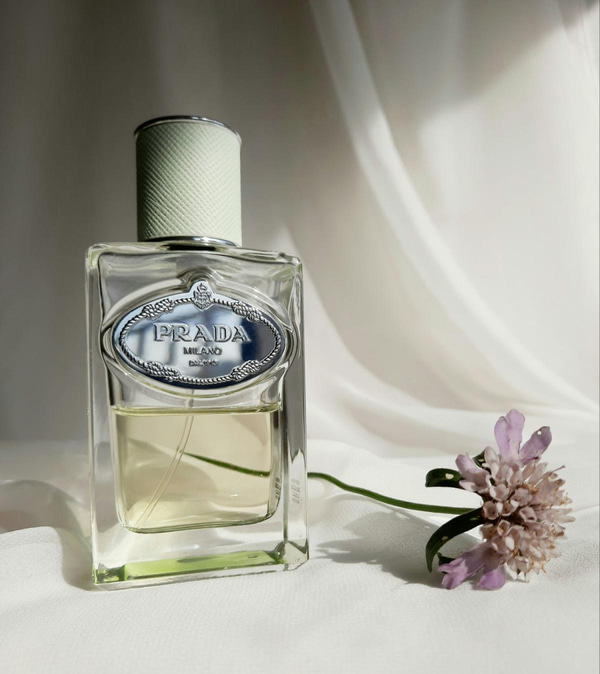 9 Best Smelling Fragrances for Teachers [Tested in 2024]