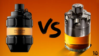 Spicebomb Extreme vs Wanted by Night: Which is Better in 2021?