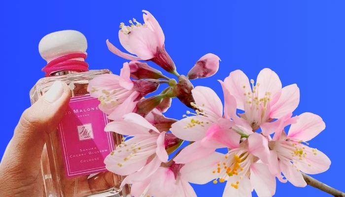 Perfume that smells discount like cherry blossom