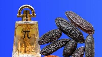 What Does Tonka Bean Smell Like