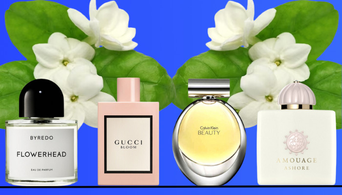 best-jasmine-fragrances-that-will-amaze-you