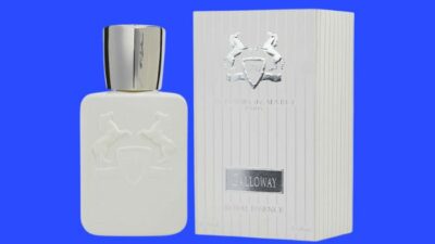colognes-similar-to-parfums-de-marly-galloway