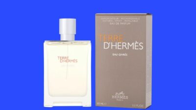 colognes-similar-to-terre-dhermes-eau-givree-hermes