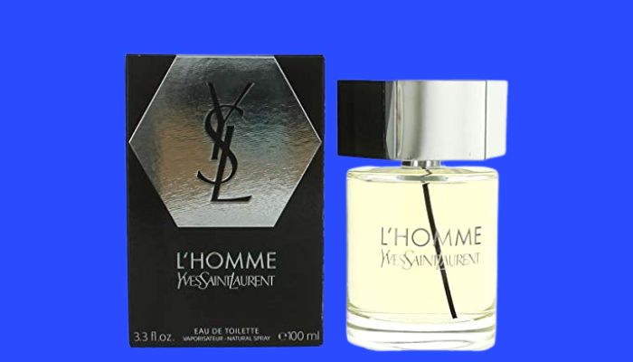 colognes-similar-to-ysl-lhomme