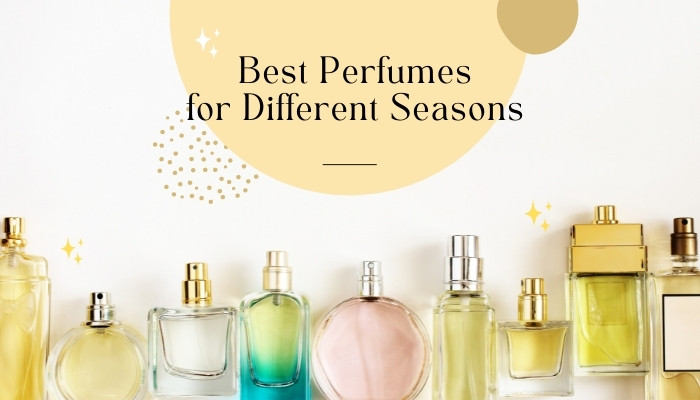 Does Weather Affect Perfumes? [Know all the facts in 2024]