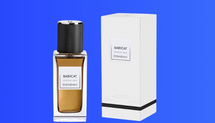 fragrances-similar-to-babycat-yves-saint-laurent