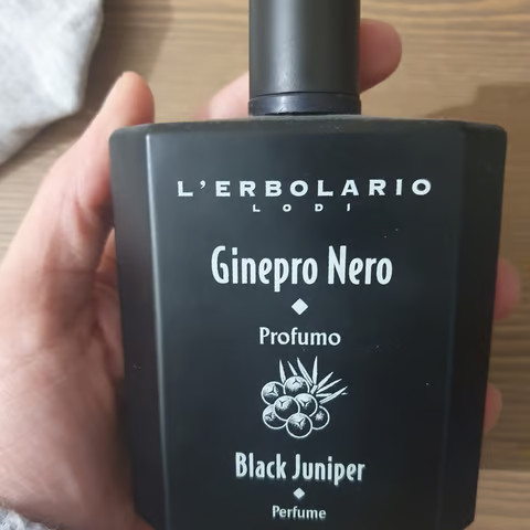 ginepro-nero-lerbolario