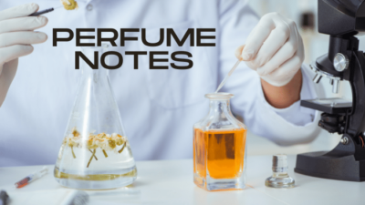 how-do-perfume-notes-work