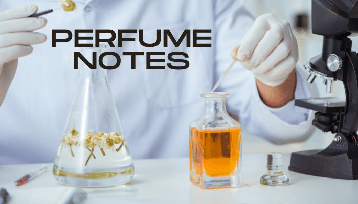 how-do-perfume-notes-work