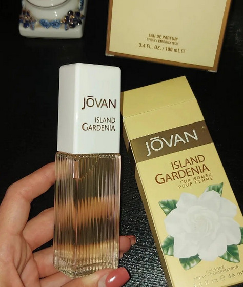 island-gardenia-jovan