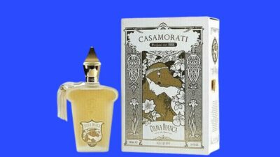 perfumes-similar-to-dama-bianca-xerjoff