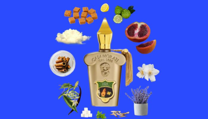 perfumes-similar-to-lira-xerjoff