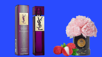 perfumes-similar-to-ysl-elle