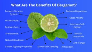 What Does Bergamot Smell Like? [Explore The Aroma]