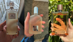 What Does Vetiver Smell Like? [Overall Scented Guide]