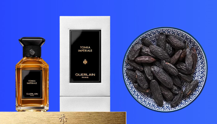 what-does-tonka-bean-smell-like