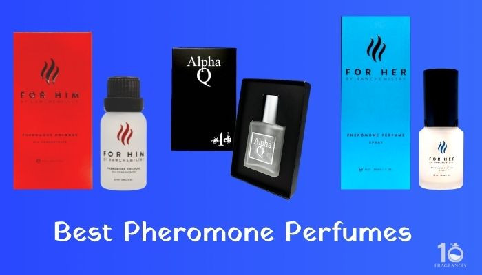 what-is-the-best-pheromone-perfume